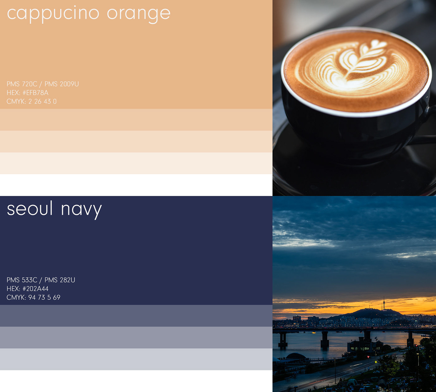 An image showing the chosen color palette selected for my.3pm's new identity