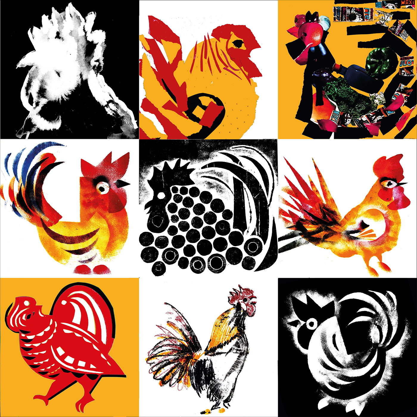 a collection of roosters, a study of different ways of visualization
