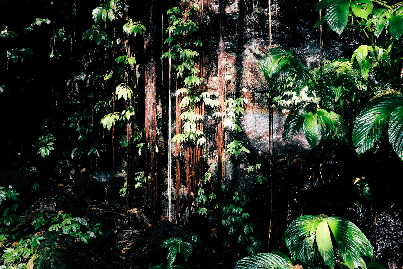 indonesia bali adventure trip jungle Nature Waterfalls