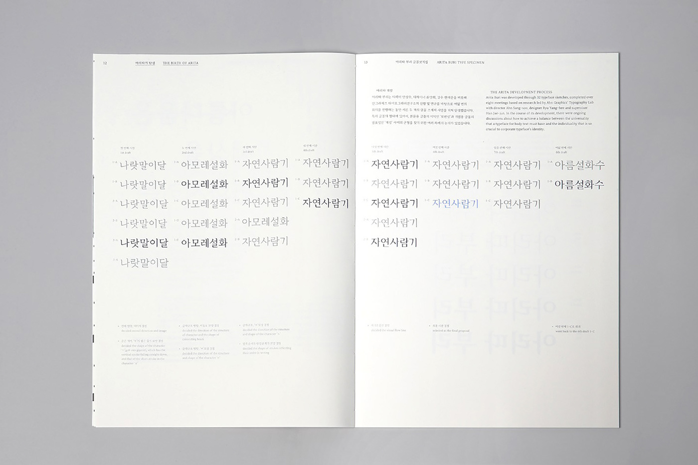 Adobe Portfolio book design branding  editorial brandbook publishing   reddot typography   안그라픽스