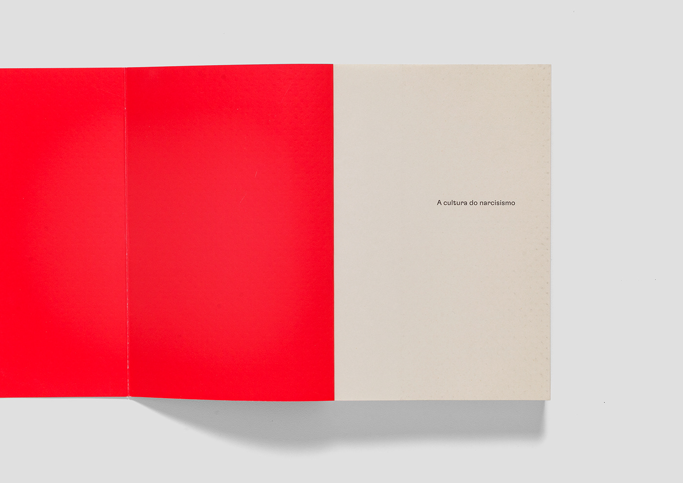 bookcoverdesign book cover graphic design  editorial design  editorial book typographic lettering vector