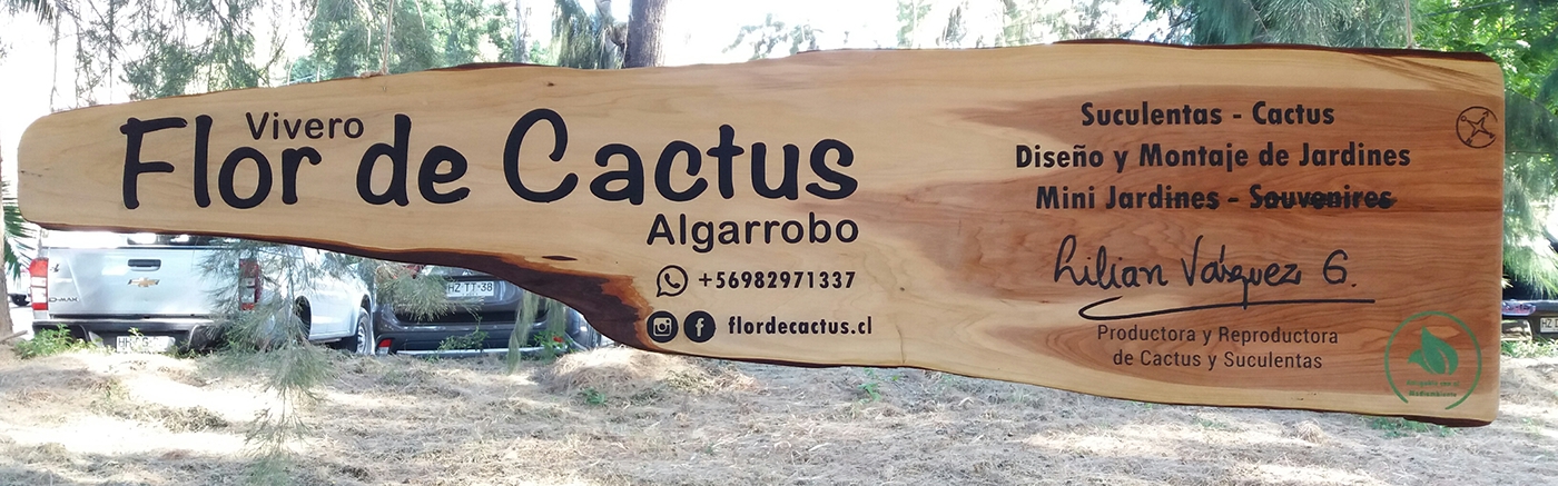 Taller Arte Nova Flor de Cactus madera Ciprés letrero a mano