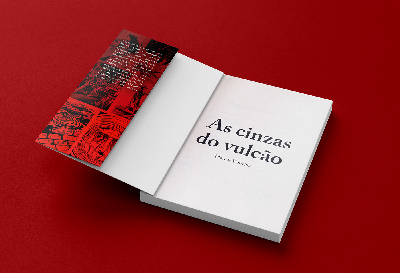 arte book capa de livro capista cover design gráfico identidade visual Ilustração ilustration livro ilustrado