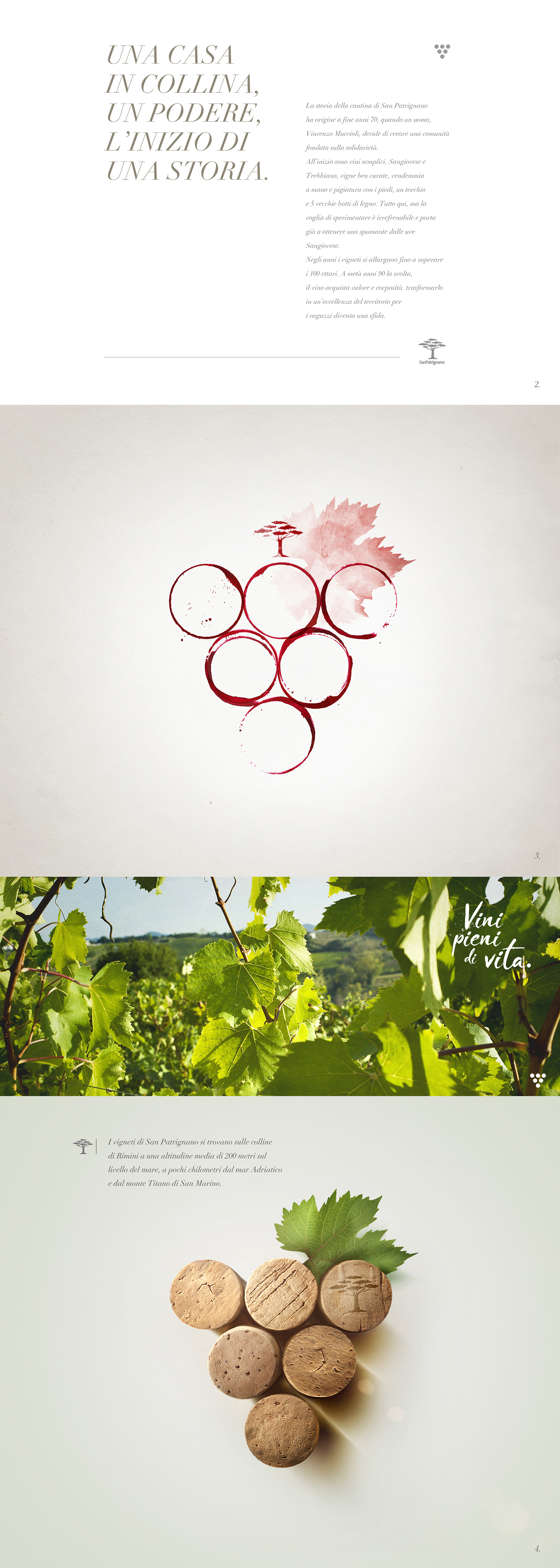 wine WINEYARD life barrels grapes Food  design brochure