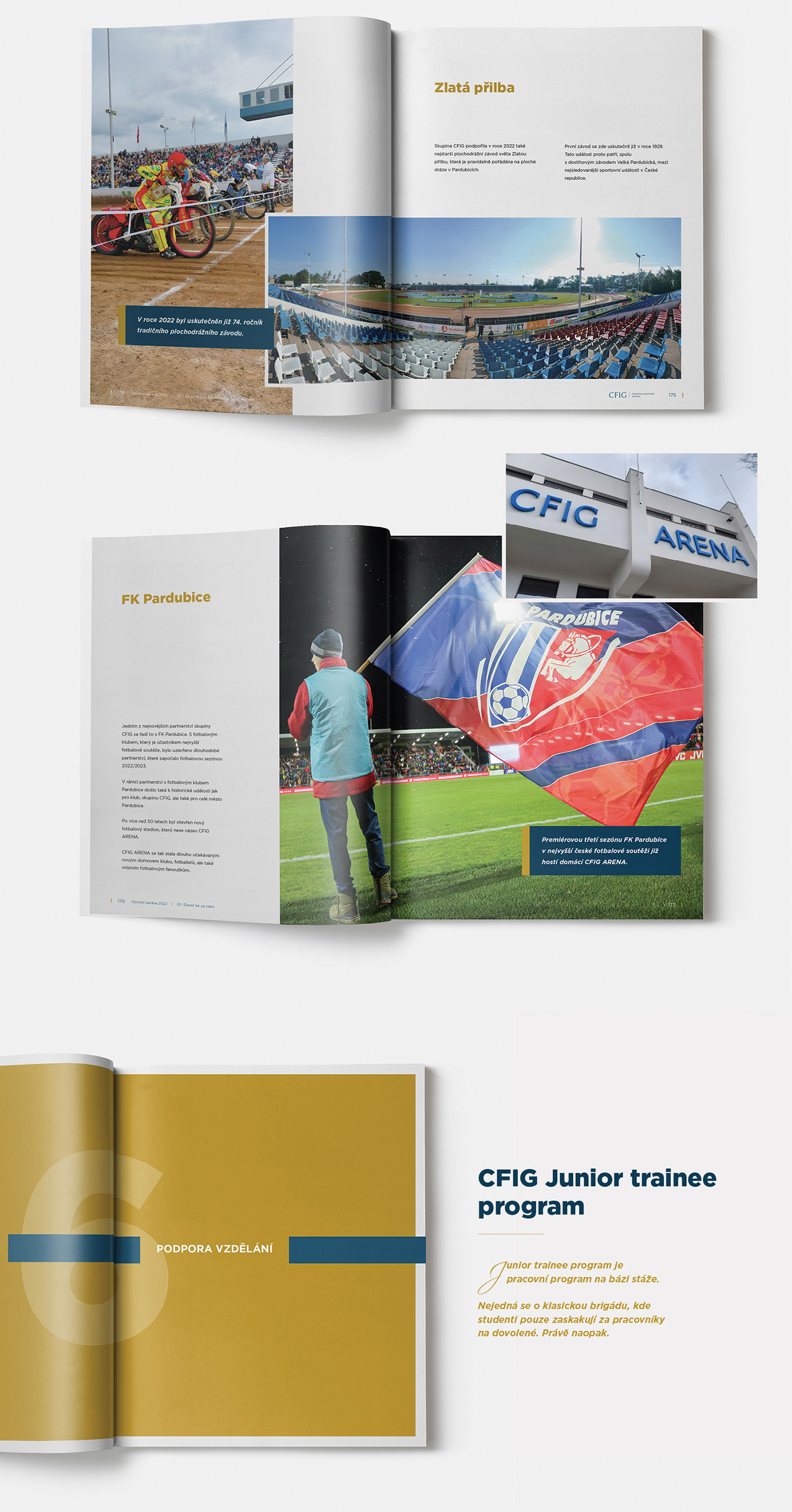 ANNUAL annual report Annual Report Design brochure brochure design print design  Layout editorial design  book cover cfig
