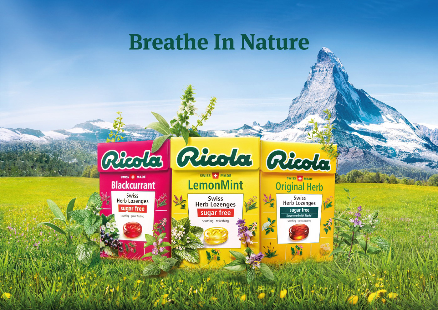 Packaging products Ricola set building