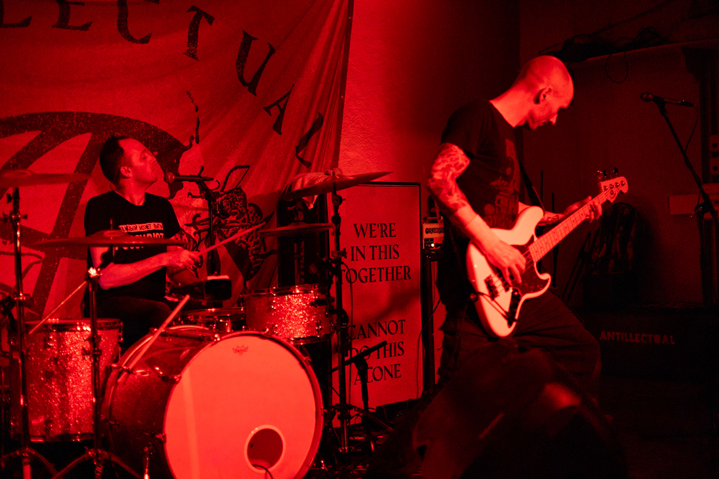concert punk porto Portugal antillectual