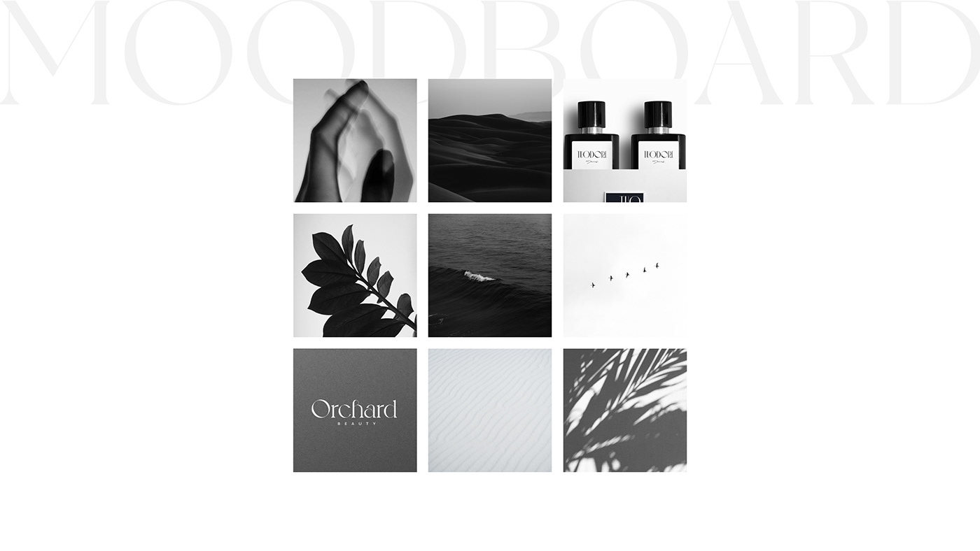 adobe illustrator beauty Brand Design design identity logo Logo Design Logotype parfum typography  