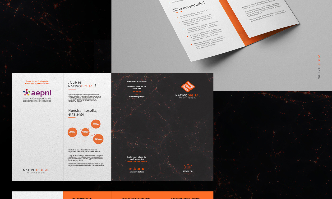 bifold brochure diptico editorial flyer Flyer Design Layout page trifold triptico