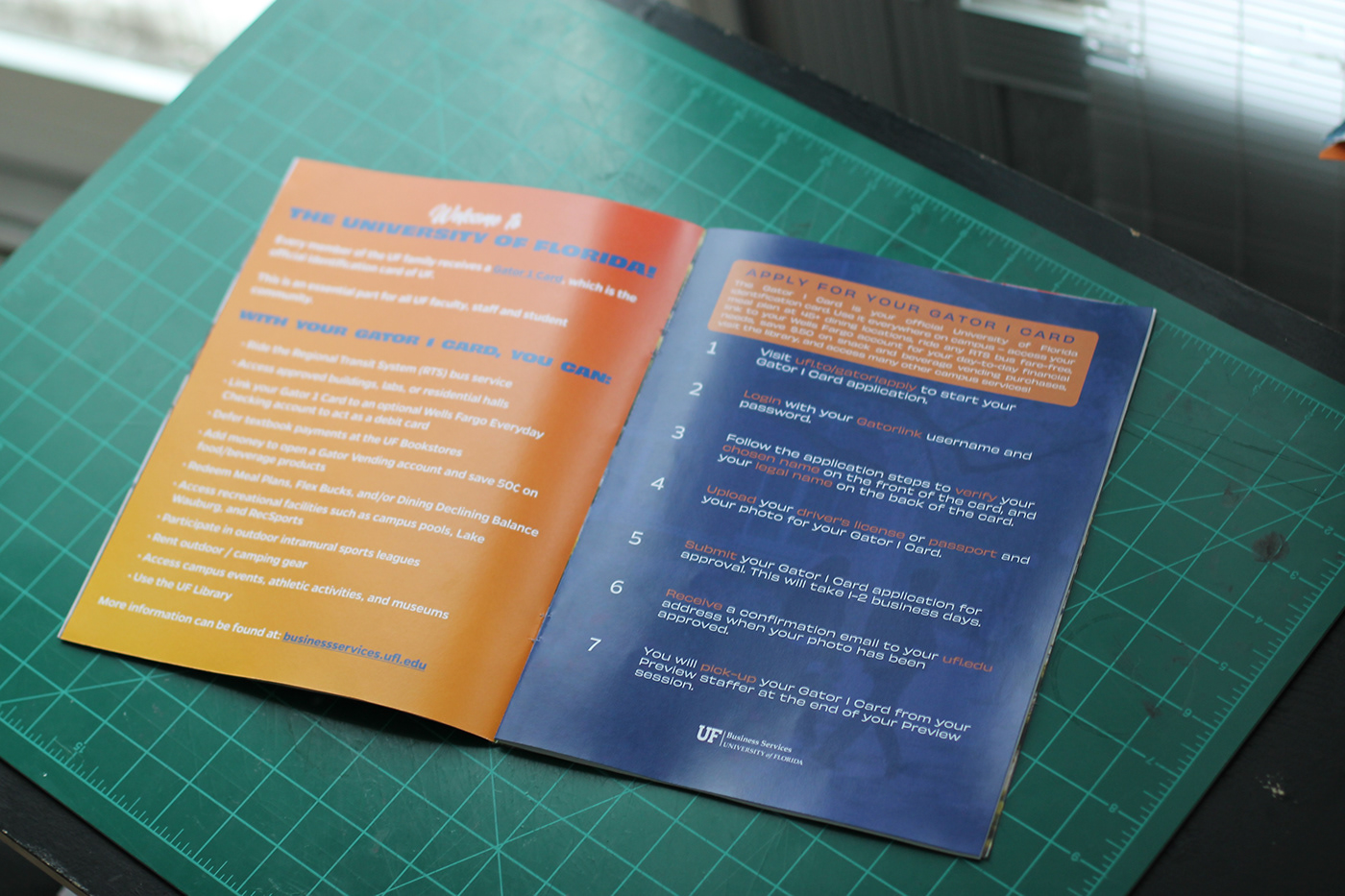 book Booklet branding  college design editorial design  Layout magazine print University