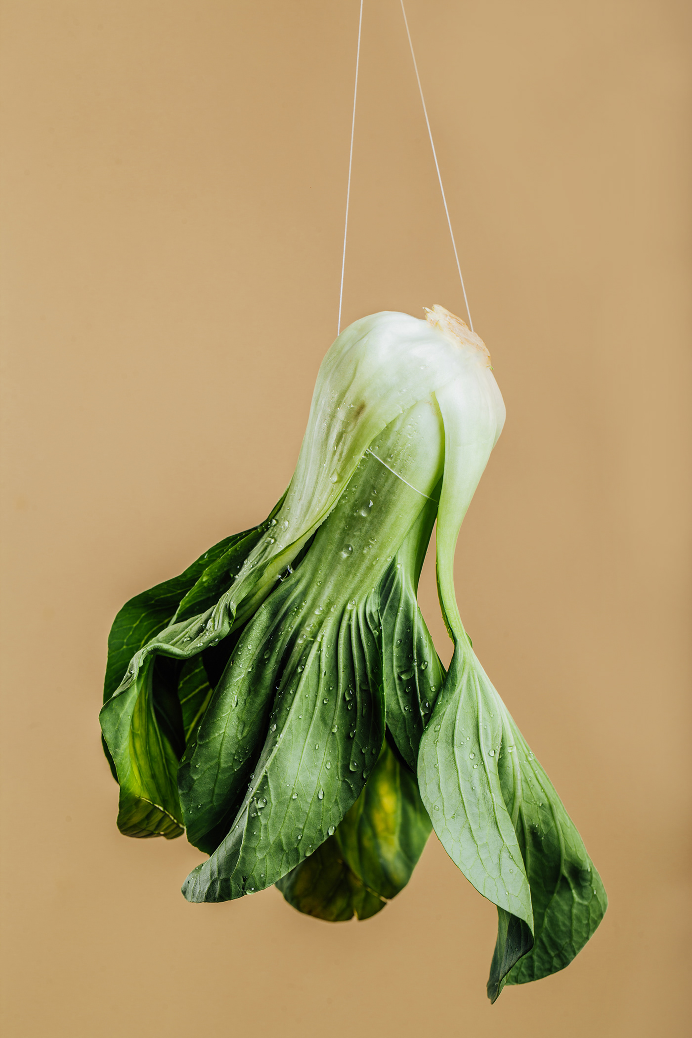 campaign delivery Food  photographer Photography  purestuff studio vegan vegetables