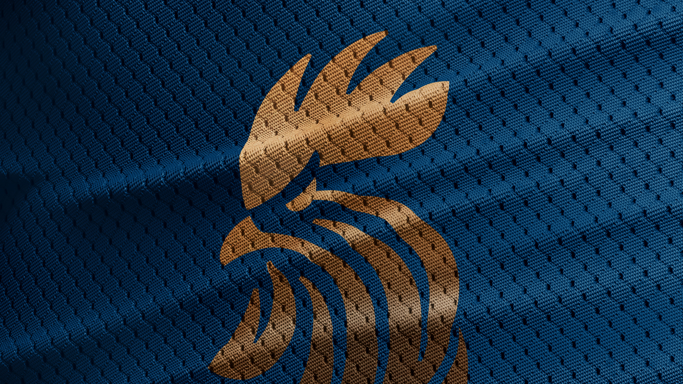 Royal roosters polo team sports logo Rooster abstract movement Stationery jersey gold randeep hooda equestrian horse game