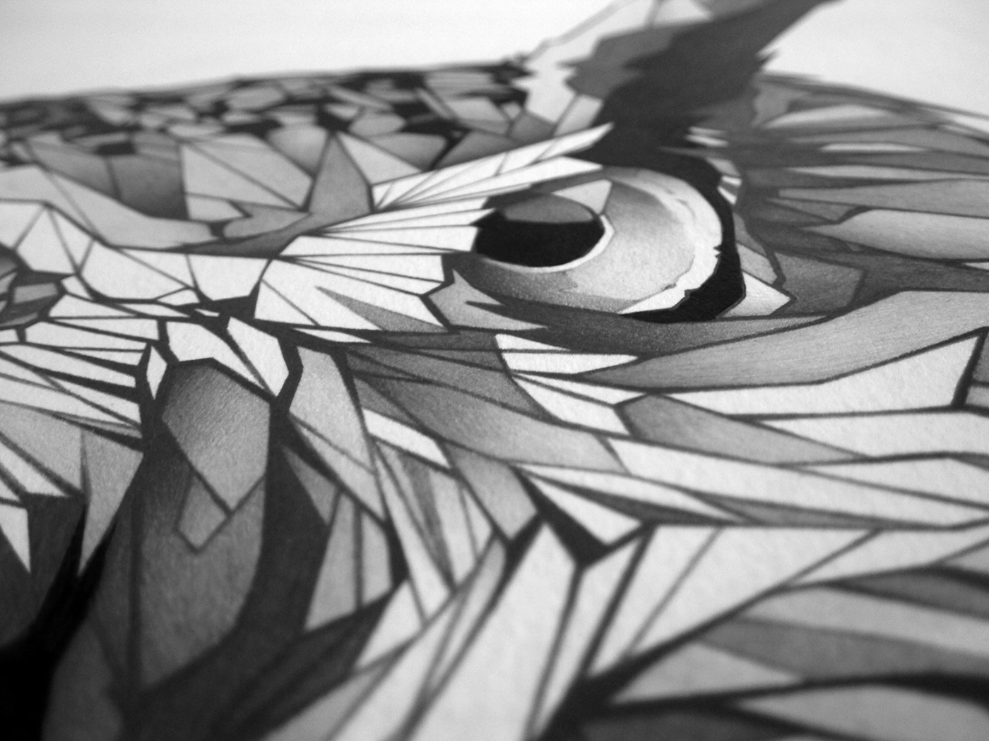 graphite mechanical pencil ink inking owl digital color pink animal eyes print poster hurricanefestival Music Festival hurricane