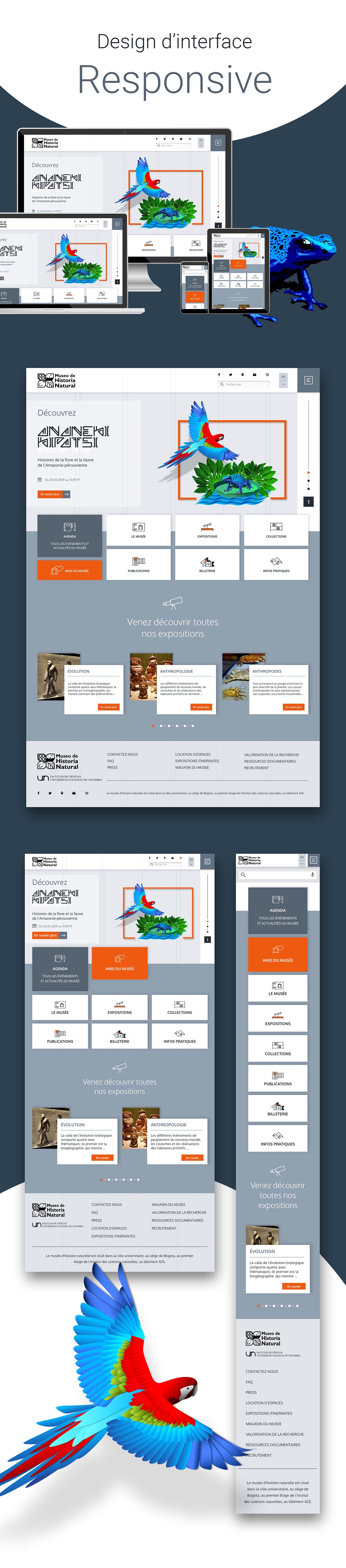 Webdesign design de sites sites web design d'interface interface design Responsive ui design