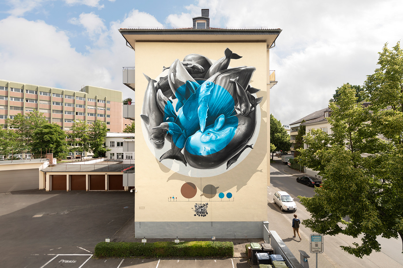 cluster Mural Giessen cetacean Whale