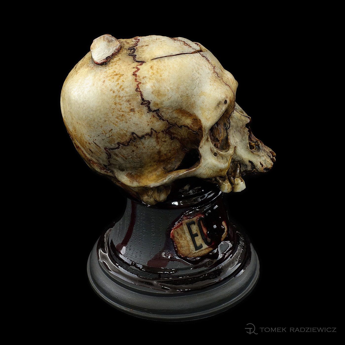 Character design  skull zombie