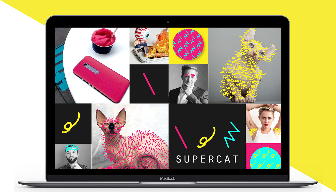 brand Webdesign supercat concept identity corporate business card