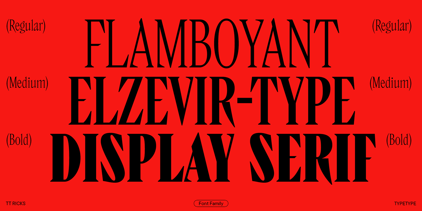 typography   type font Typeface type design display font fonts font design display typeface graphic design 