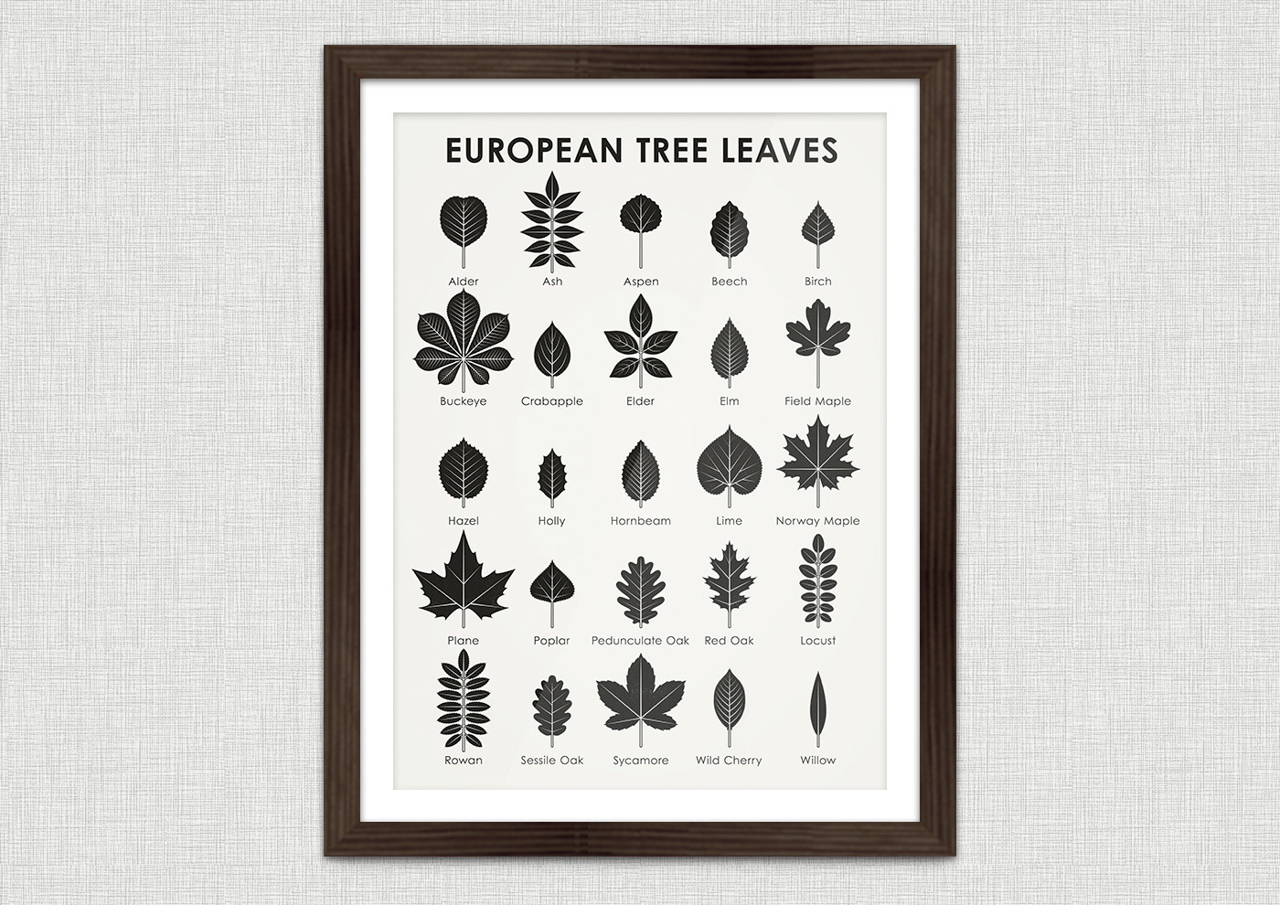 infographic school leaves trees Silhouette botany chart Education forest Tree 