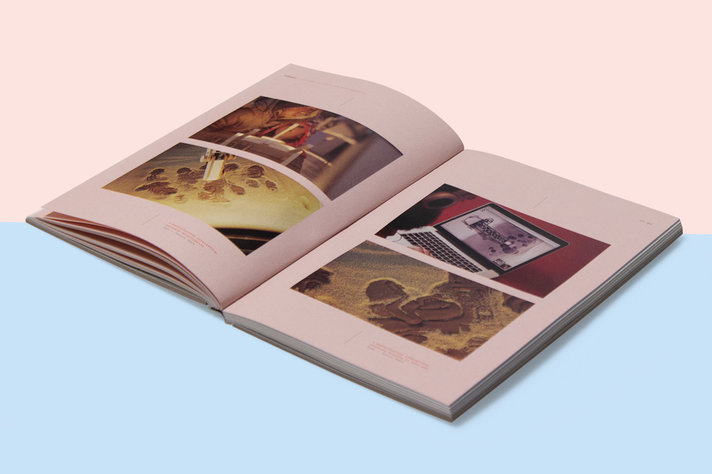 bachelor book degree editorial design  thesis