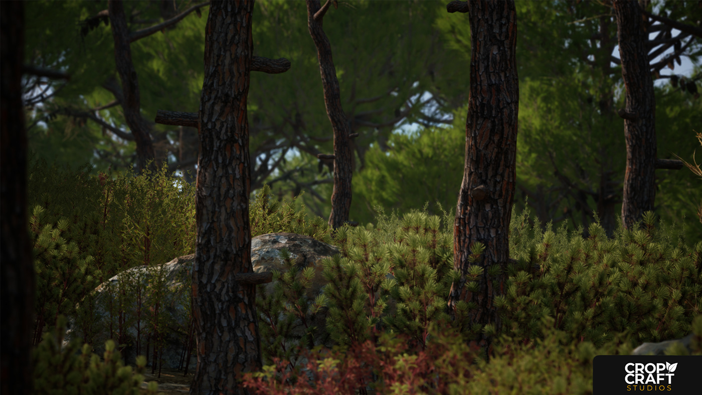 stone pine UE5 Unreal Engine 4 blender 3D game design  Substance Painter foliage shrub