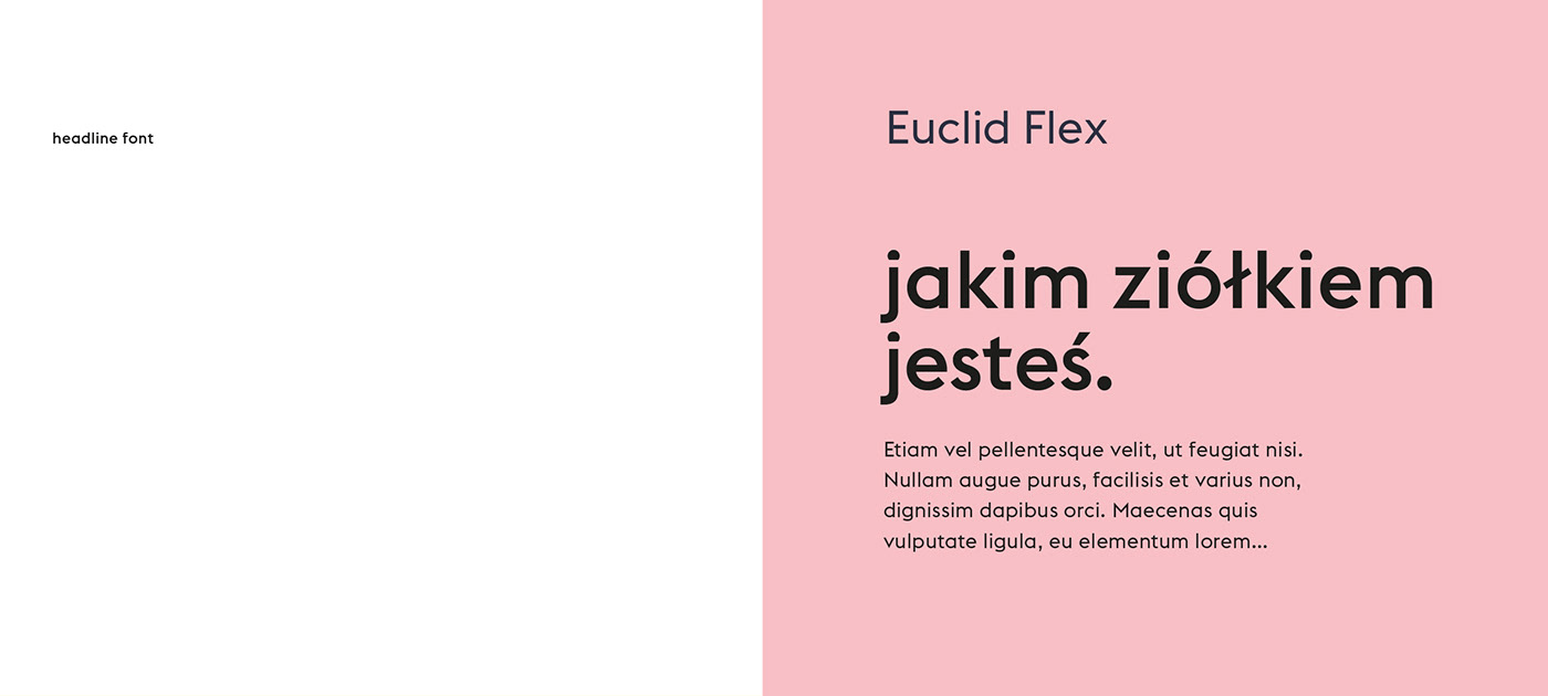 UI ux Food  Webdesign Layout Website kukbuk colors cooking