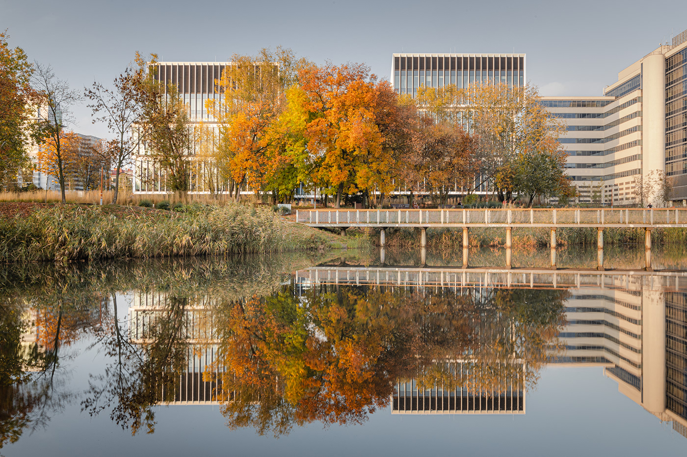 Architecture Photography Lakeside design autumn autumn photography Photography  lightroom Canon ArchDaily Archictecture