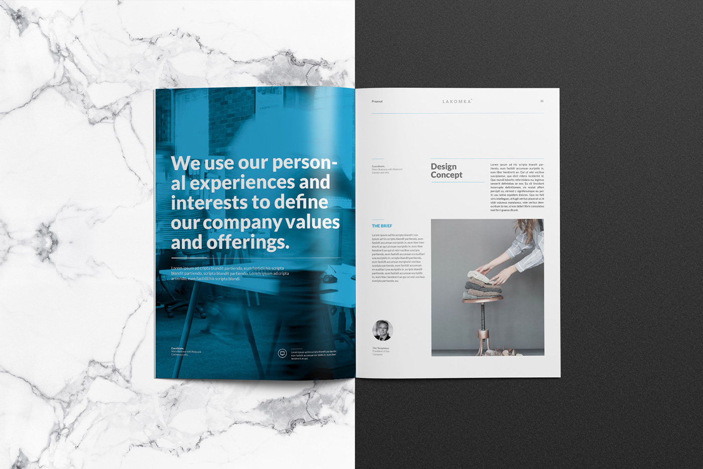 Proposal agency studio Behance template invoice portfolio annual report InDesign informational modern print blue business lakomka studio