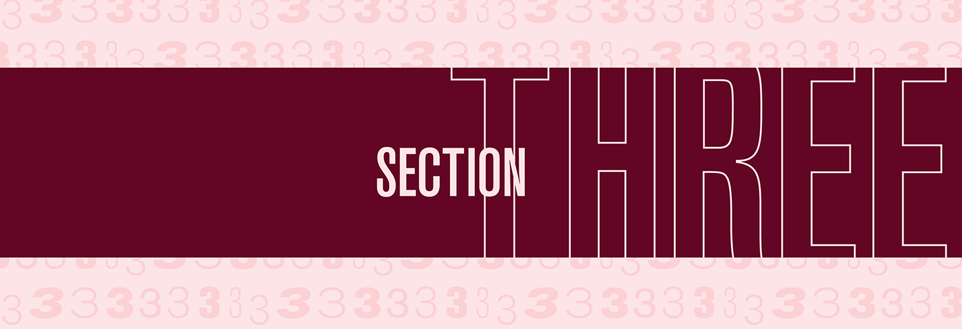 typography   Type Specimen Booklet editorial
