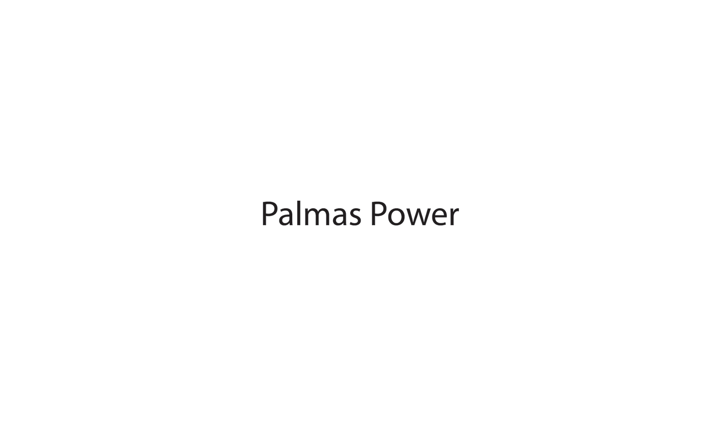 Palmas Power private energy production company Branding option 1. 