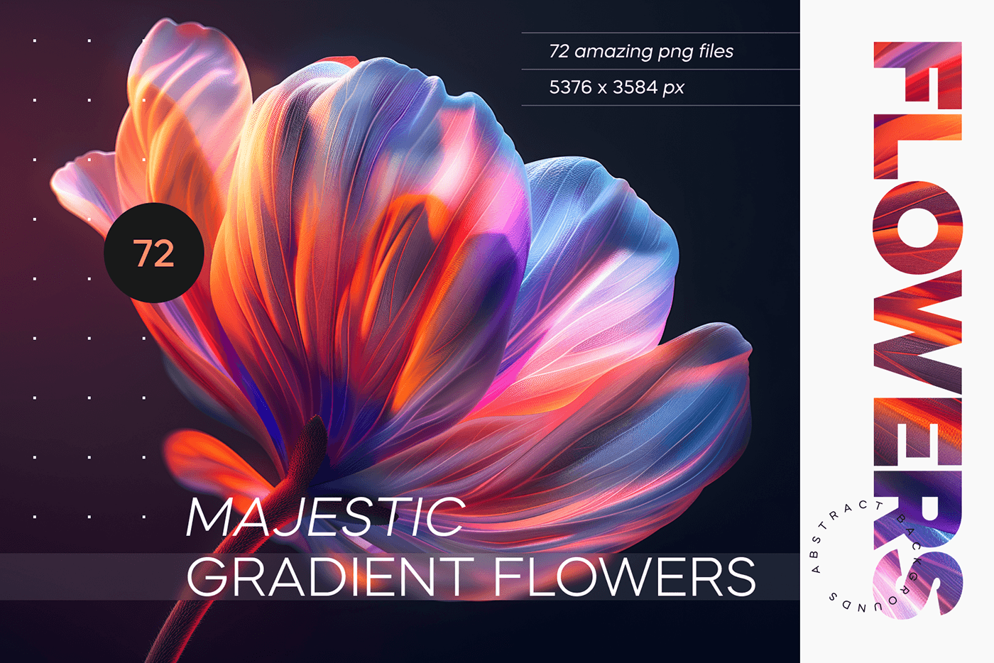 background texture gradient Flowers Web object macro graphic wallpaper banner