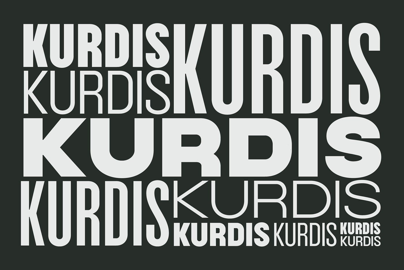 kurdis in all kinds of shapes and sizes fit into strict square grid