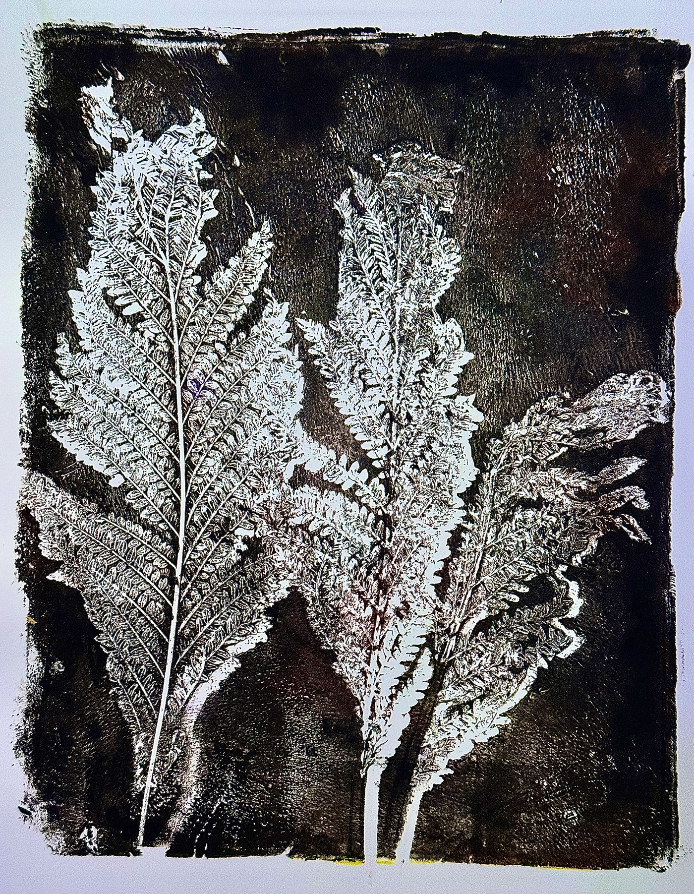 Nature botanical acrylicpainting gelatinprints