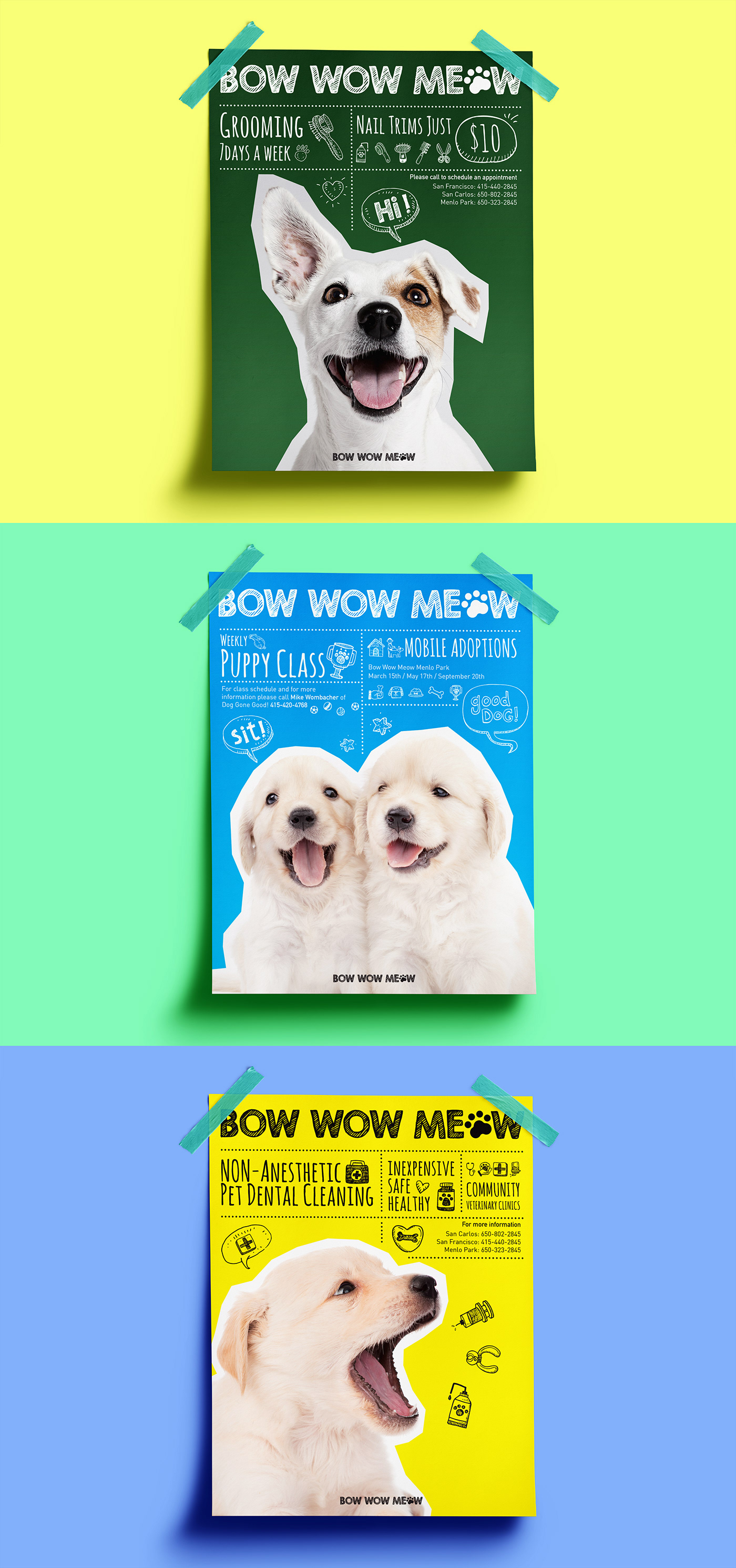pet shop Poster Design booklet design Website Design landing page graphic design  branding  Logo Design re-branding visual design