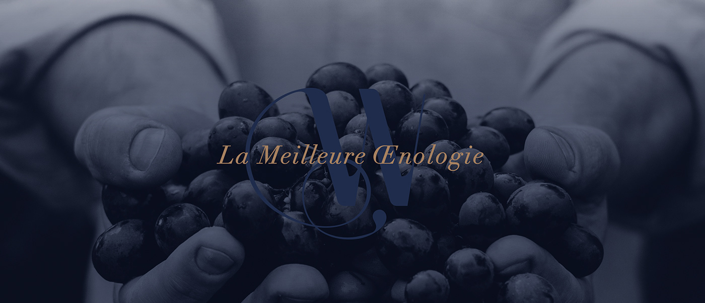 wine branding high-end branding french style vintage wine logo Wine Visual Ideneity