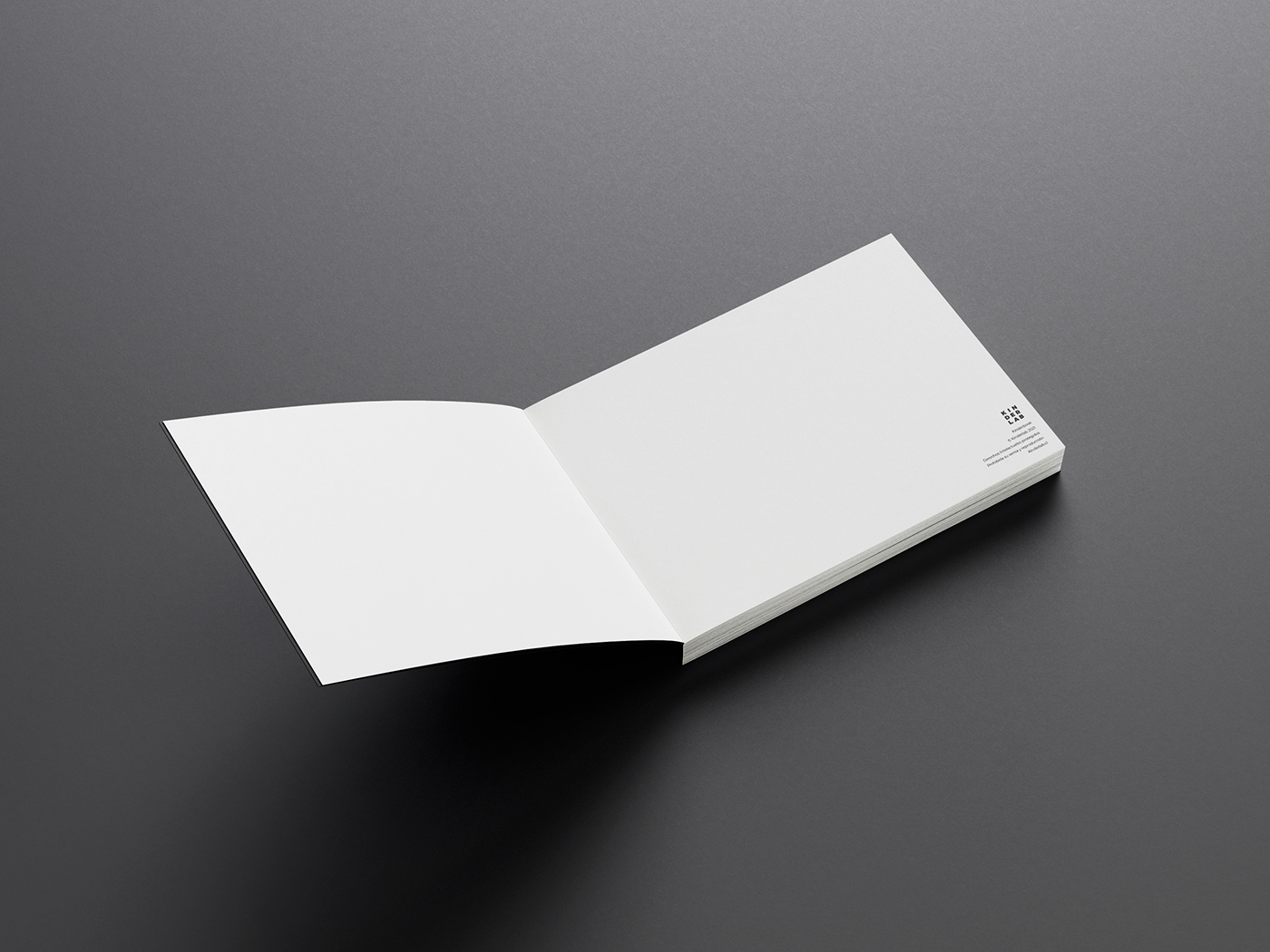 book design editorial design 
