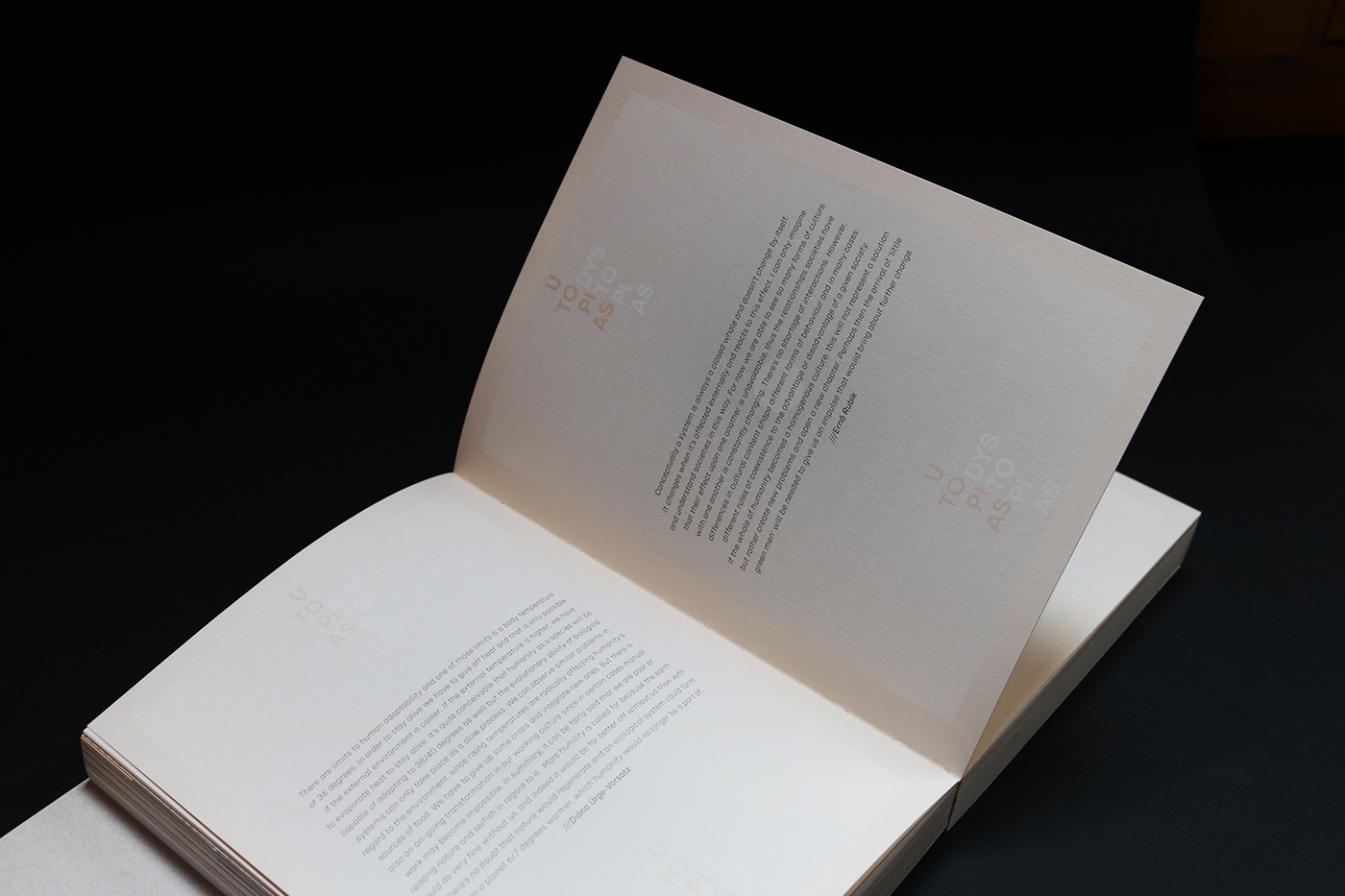 book book cover book design books editorial editorial design  Layout print publishing   typography  
