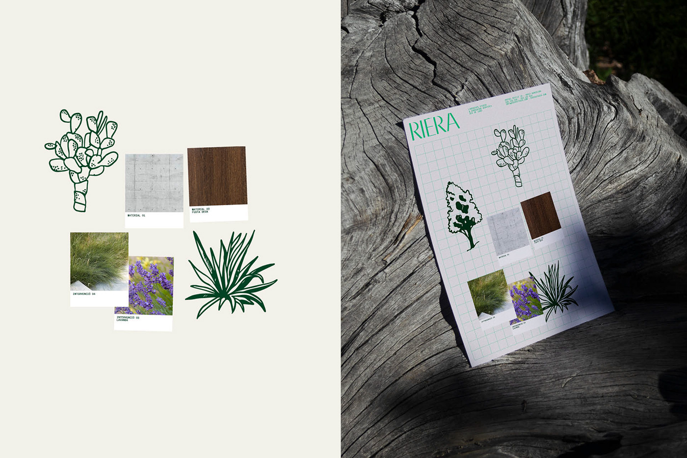 branding  gardening Landscape architecture graphic design  design ILLUSTRATION  plants botanical identity