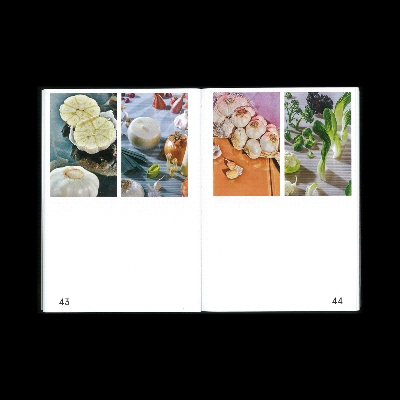 photobook photobook design photobook layout editorial book design InDesign