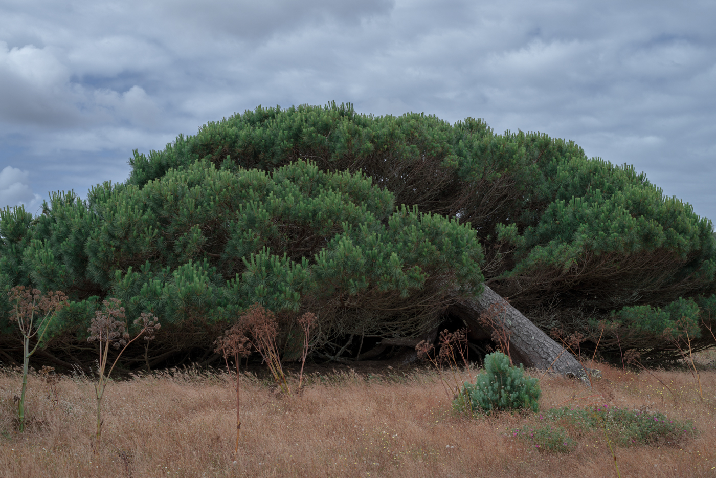 francois ollivier Travel Landscape explore Portugal france RoadTrip wander spain Nature