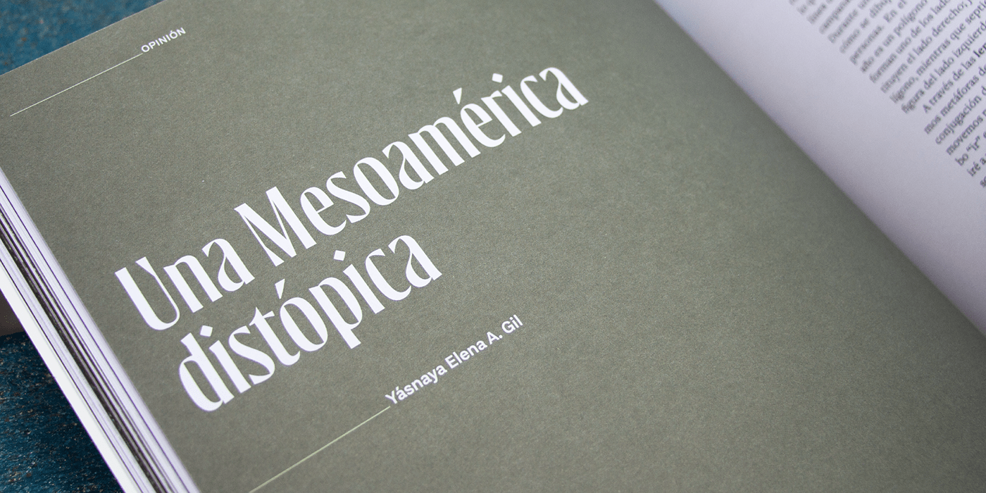 branding  custom font editorial font magazines mexico publishing   type typedesign typography  