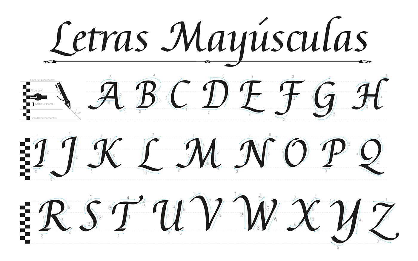 tipografia typography   Graphic Designer tipografias diseño gráfico Calligraphy   font type design DUCTUS