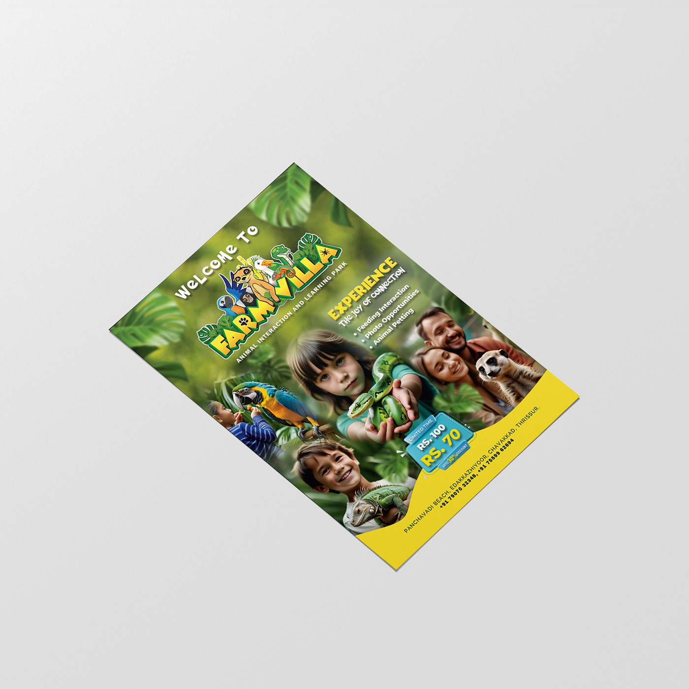 design print brochure flyer Graphic Designer marketing   ads Trifold Brochure Design
