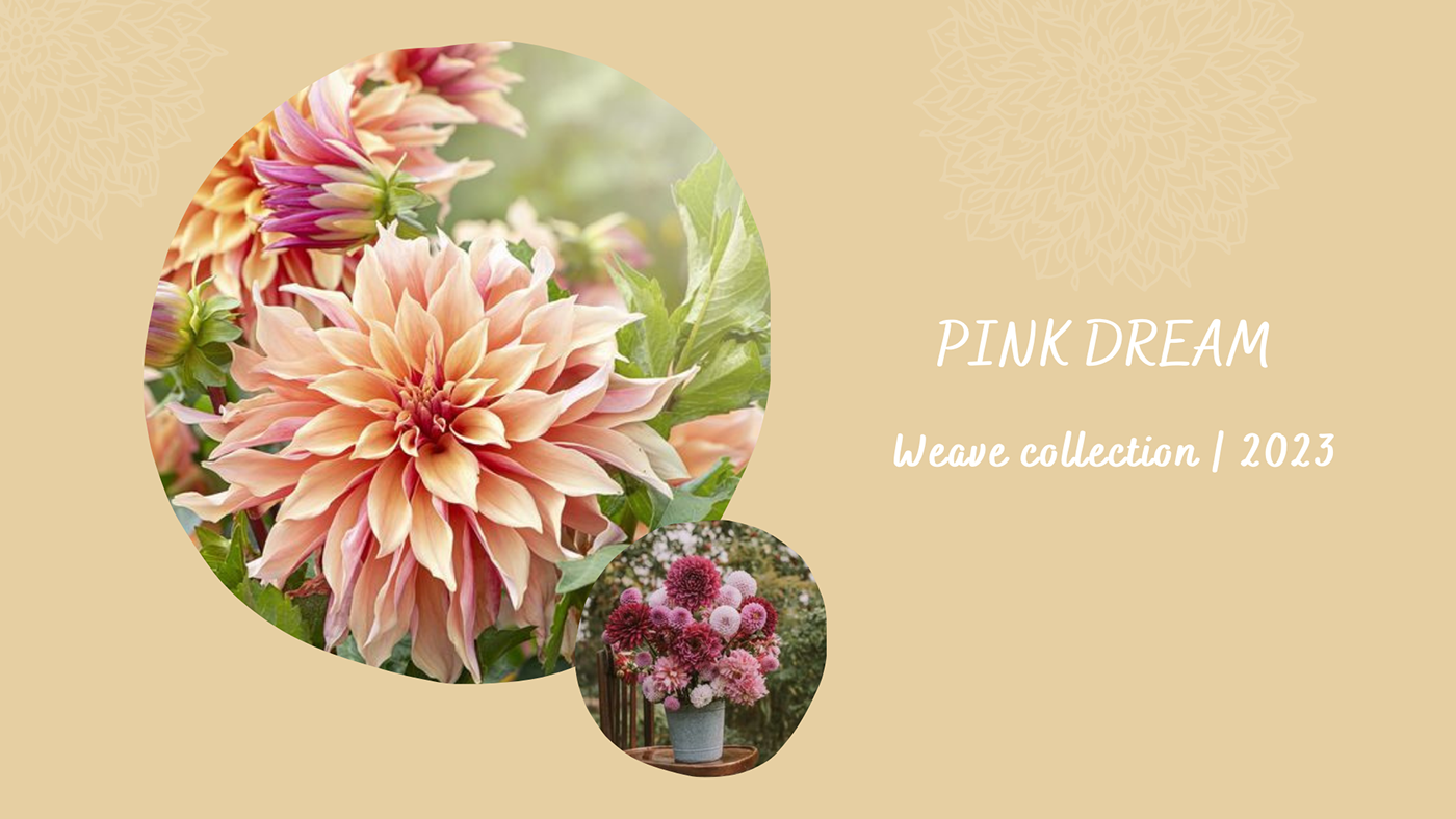 Cushion Covers dahlia floral Handweaving pink TAPESTRY WEAVING textile textile design  Weave Design woven textiles