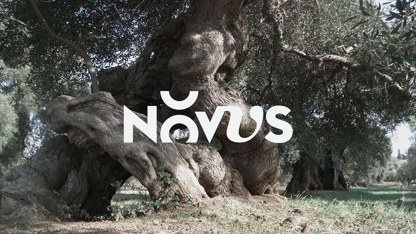 Davide Rino Rossi • Novus PugliaDAVIDE RINO ROSSI
 • Logo Design