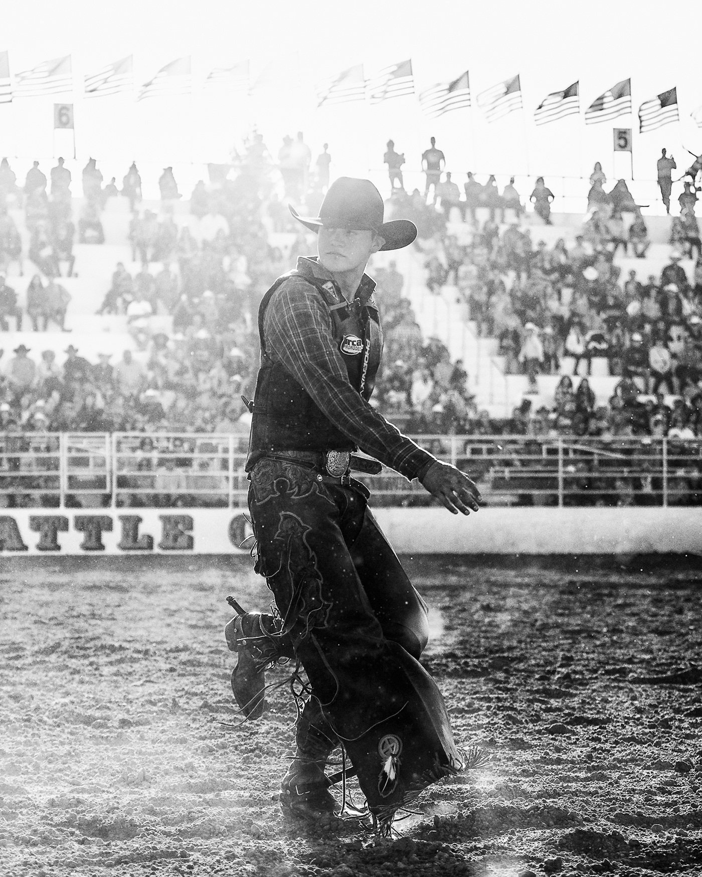 rodeo cowboy cowgirl Bullrider horse Cattle flag Arena rodeo clown  bull