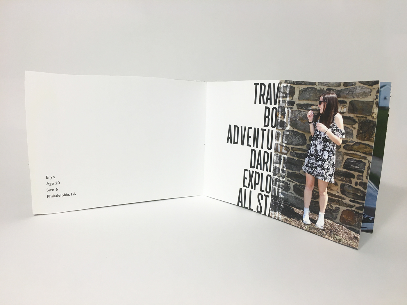 graphic graphic design  converse book catalog Collection