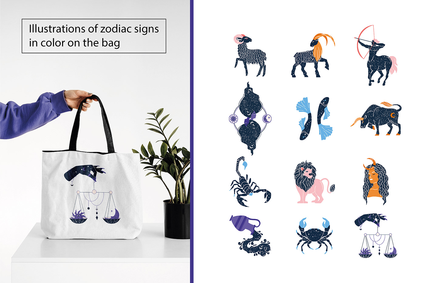 animal Astrology Digital Art  fantasy Horoscope Mystic vector zodiac zodiac signs