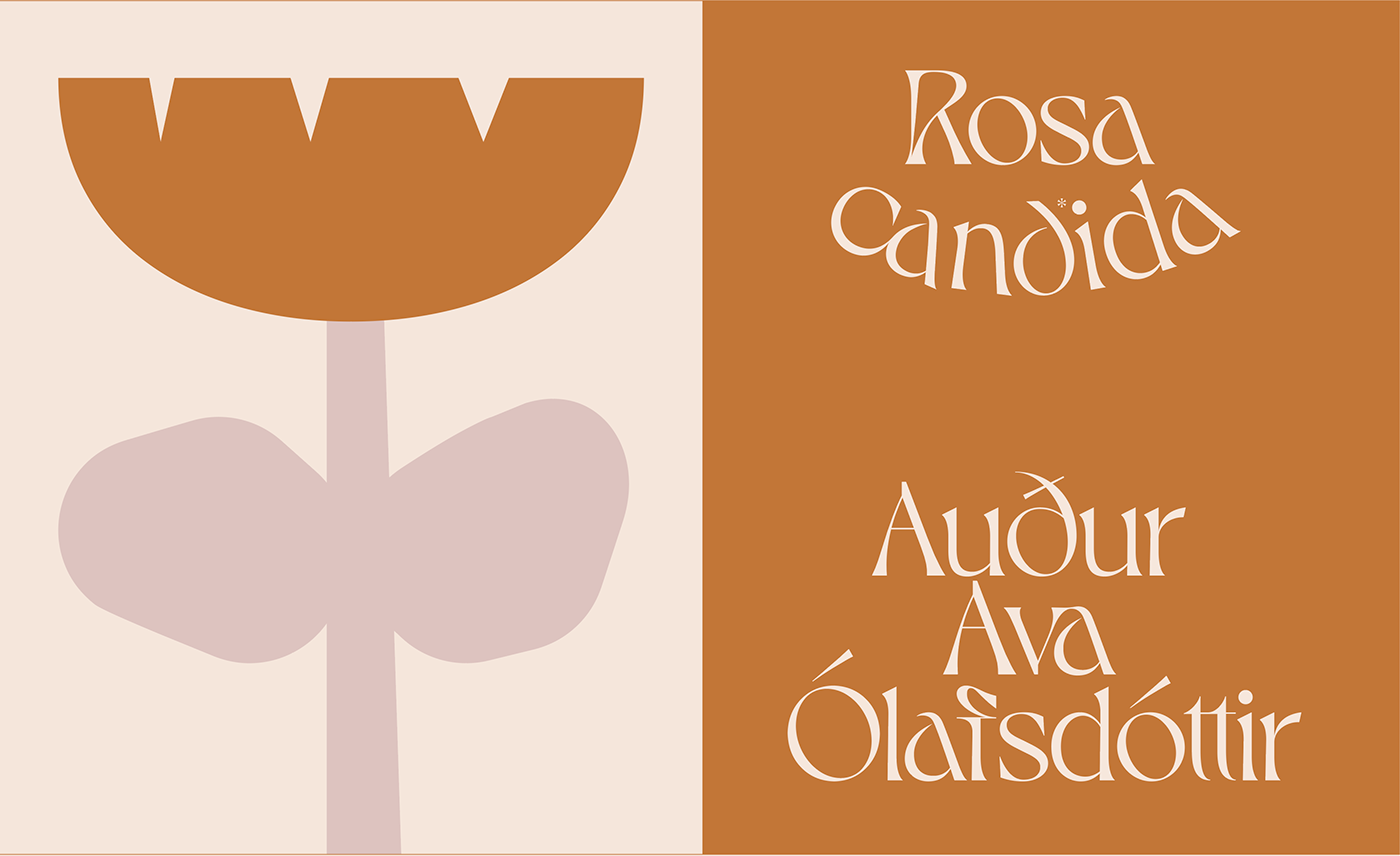 alternate flower font ILLUSTRATION  ligature rose Typeface typography   Violaine & Jeremy vj-type