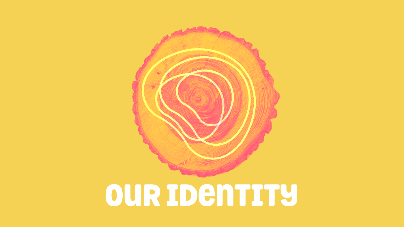 Advertising  branding  identidade visual logo Logotipo marca brand identity strategy visual